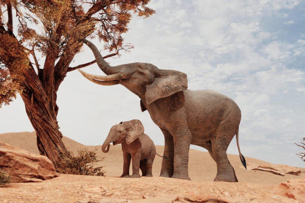 African Elephants (Realistic) - rigged and animated 3D large mammal model for Unity and Unreal Engine