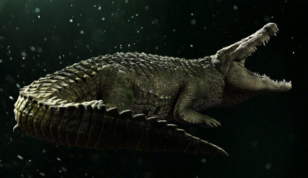Crocodile Realistic - rigged and animated 3D reptile model for Unity and Unreal Engine