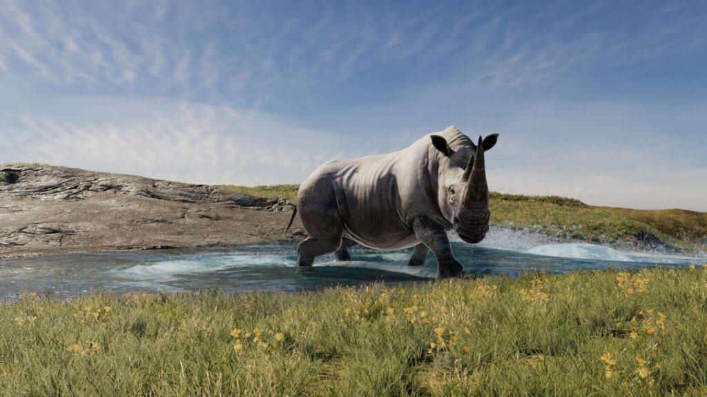 Realistic African Rhinoceros - rigged and animated 3D large mammal model for Unity and Unreal Engine