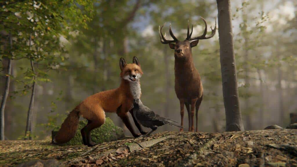 Realistic: Animal Forest Set - rigged and animated 3D animal model for Unity and Unreal Engine