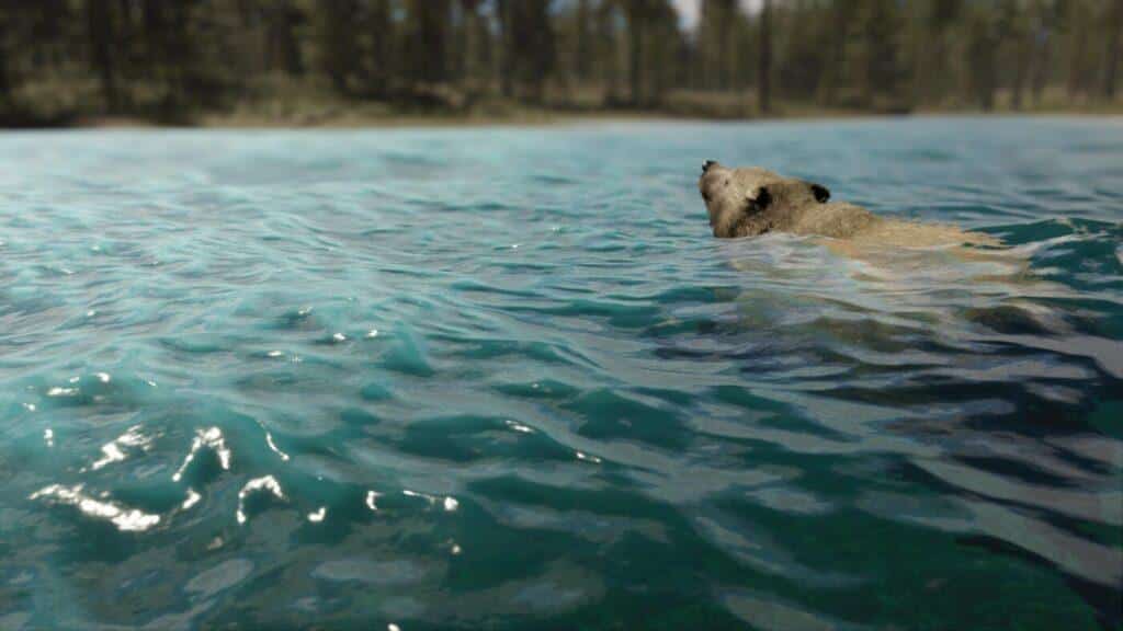 Realistic Bears - rigged and animated 3D forest animal model for Unity and Unreal Engine