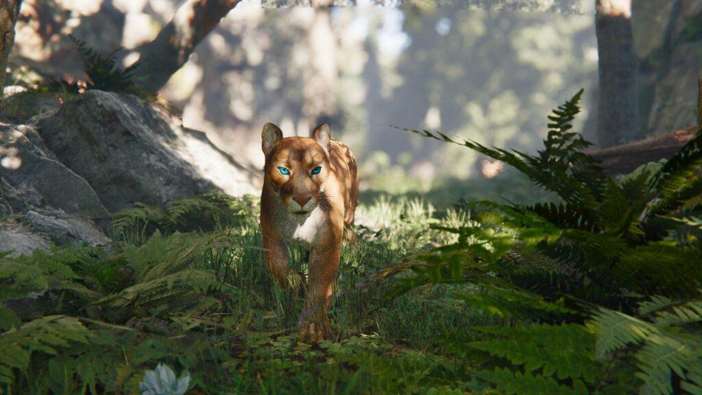 Realistic Cougar / Panther / Leopard / Jaguar - rigged and animated 3D big cat model for Unity and Unreal Engine