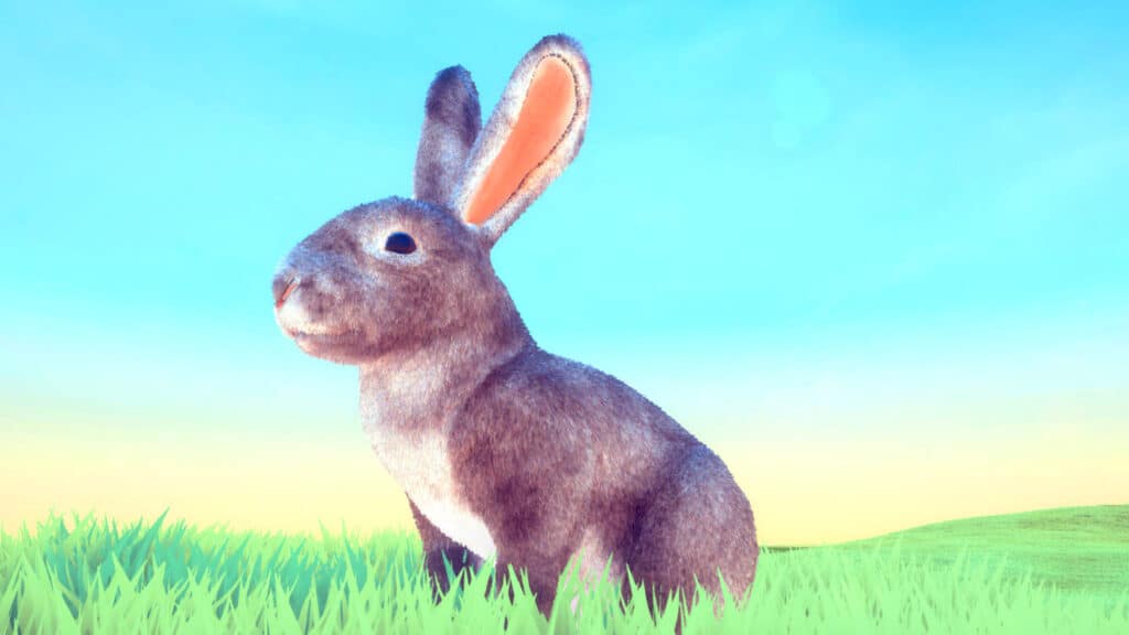 Realistic Rabbits - rigged and animated 3D small animal model for Unity and Unreal Engine