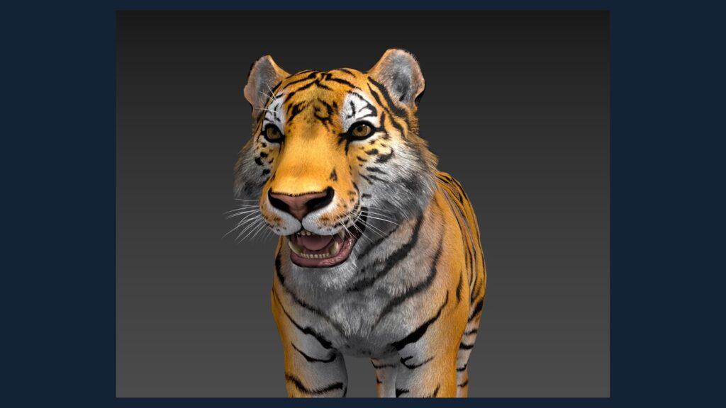 Realistic Tiger - rigged and animated 3D big cat model for Unity and Unreal Engine